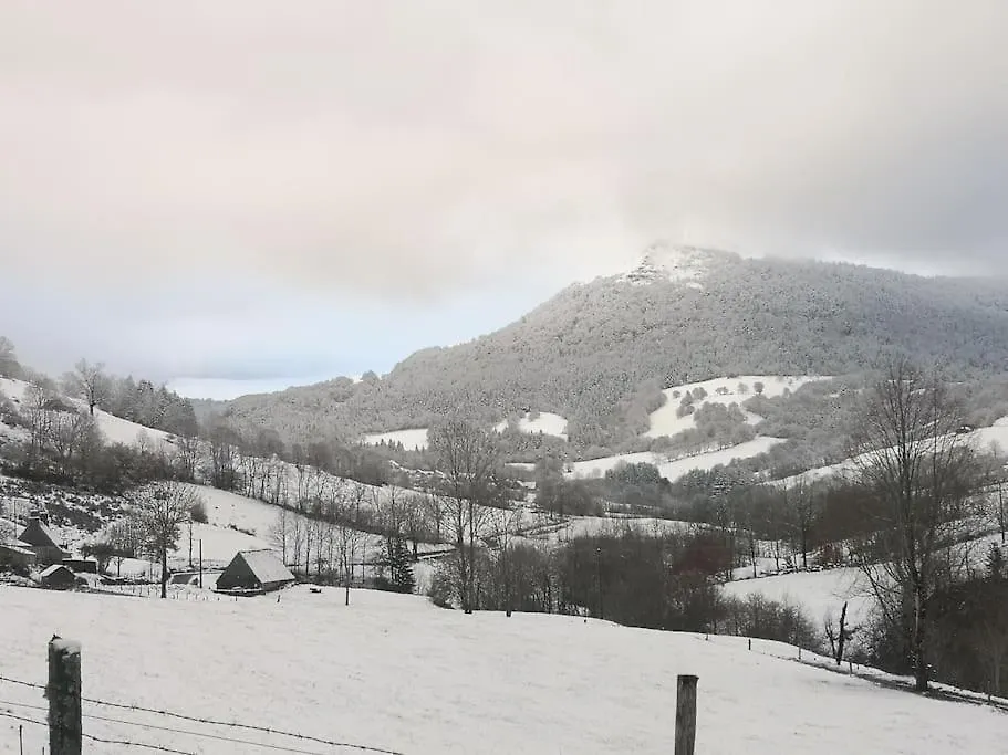 Gite Chaleureux Avec Cheminee Au Pied Du Puy Mary Saint-Paul-de-Salers